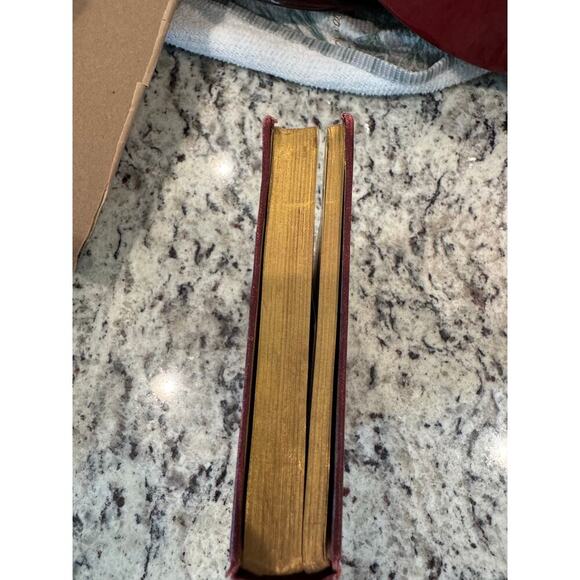 Virginibus Puerisque & Other Papers Biographical Ed Robert Louis Stevenson 1905 - Picture 16 of 16